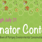 pollinator contest