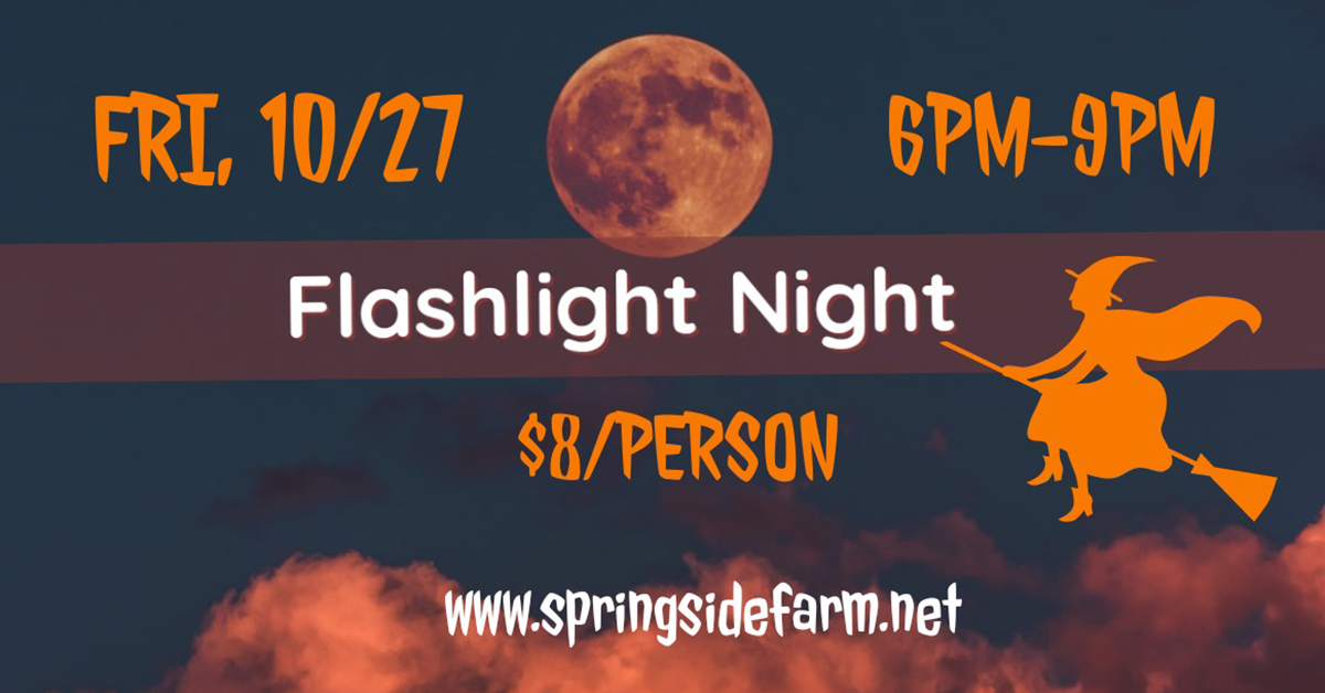 Flashlight Night